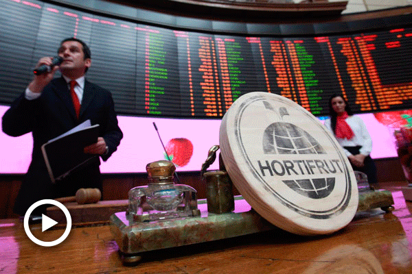 Lo que recaudó Hortifrut tras la subasta de más de 40 millones de acciones en la bolsa