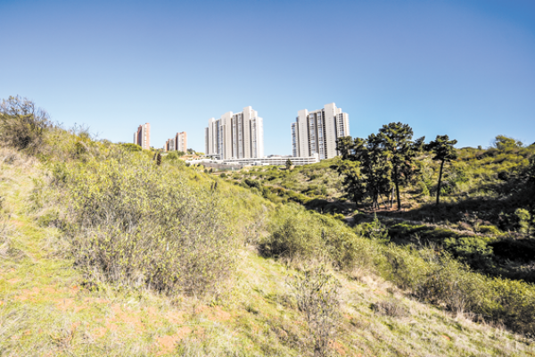 Lanzan nuevo megaproyecto en Reñaca con 19 edificios residenciales