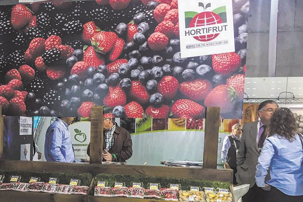 Familia Novión vuelve a mover acciones de Hortifrut