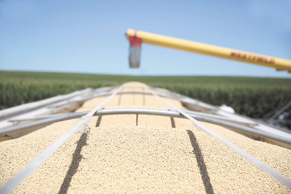 Guerra comercial: EEUU anuncia plan de US$ 12 mil millones para apoyar a agricultores