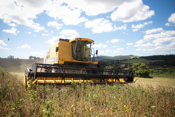 <p>Casa Blanca anuncia plan de ayuda por US$ 12 mil millones para agricultores afectados por guerra comercial</p>