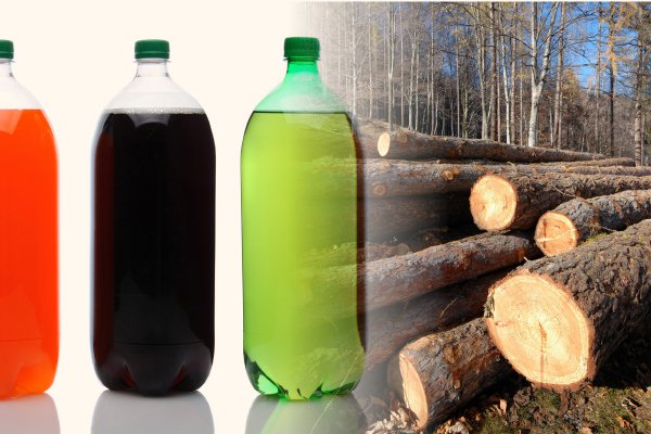 Corredoras prevén sólidos resultados para empresas de sector forestal y de bebidas