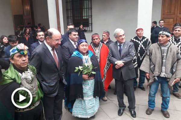Piñera, Moreno y Sichel participan en "ngillatún" mapuche en La Moneda