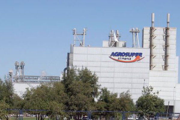 Utilidades de Agrosuper crecen 12,13% en primer semestre por mayor eficiencia operacional