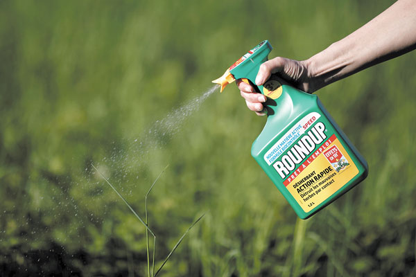 Caso Bayer-Monsanto: Autoridades chilenas estudian herbicida cuestionado y prevén apoyo a agricultores