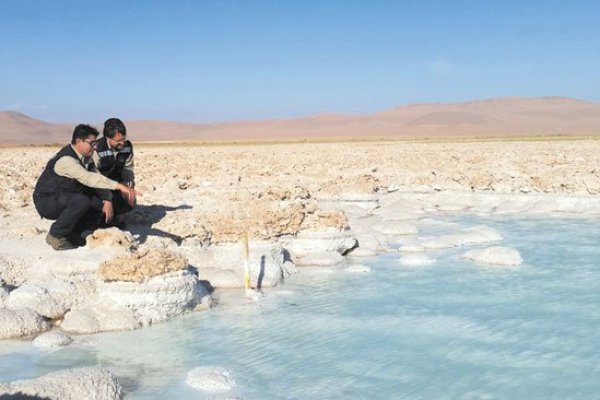 SQM le gana el gallito a la SMA y Tribunal Ambiental acoge reclamación