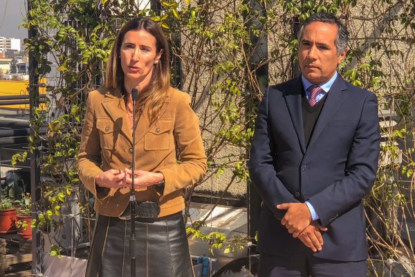 <p>La ministra del Medio Ambiente, Carolina Schmidt, junto al jefe de la División Calidad del Aire, Marcelo Fernández. </p>