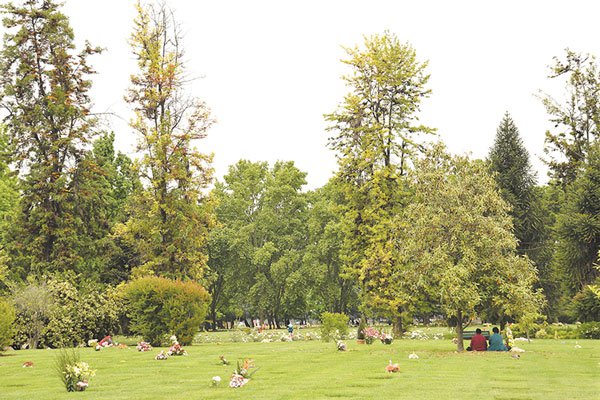 Parque del Recuerdo implementa plan de acompañamiento para las familias