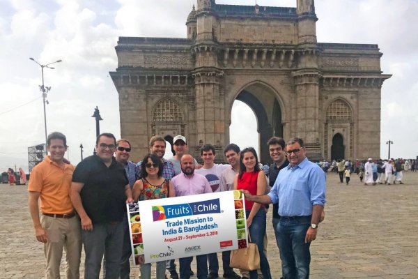 Industria frutícola chilena fortalece su presencia en India