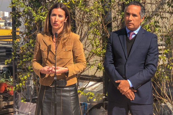 Ministra Schmidt da 48 horas a la SMA para revelar resultados de investigación por Quintero