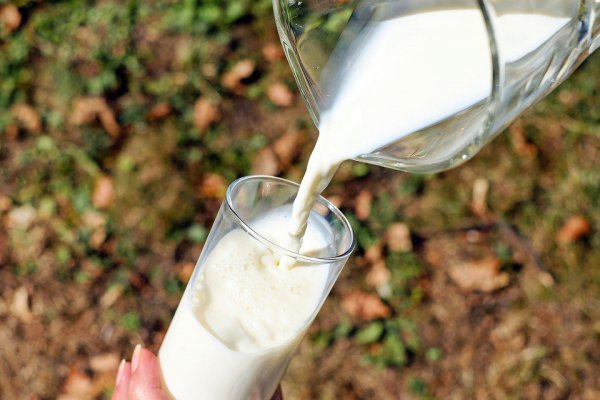 Comisión de Agricultura comienza estudio de norma que amplía la información en los envases de leche