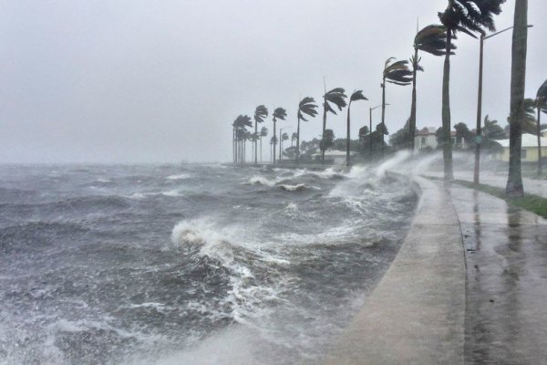 Trump declara estado de emergencia en Carolina del Sur por huracán Florence