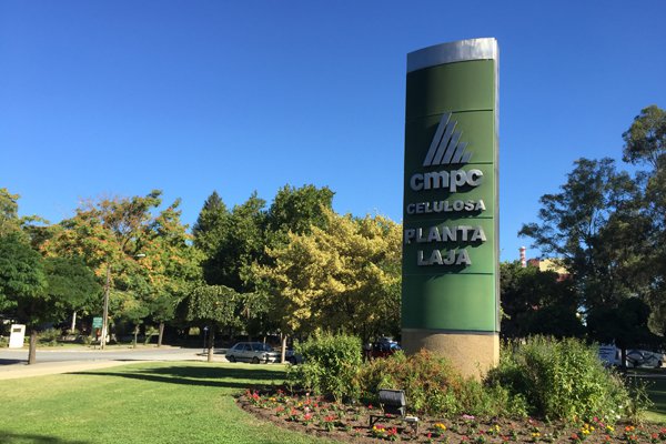 ¿Qué pasa con CMPC? Acción borra ganancias por venta de extranjeros