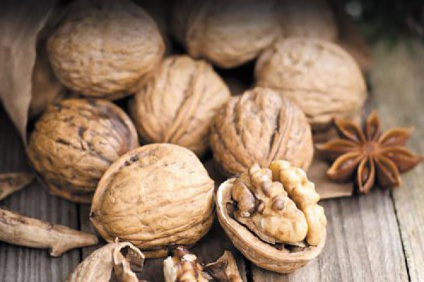Fruteros analizarán desarrollo de los frutos secos en el país