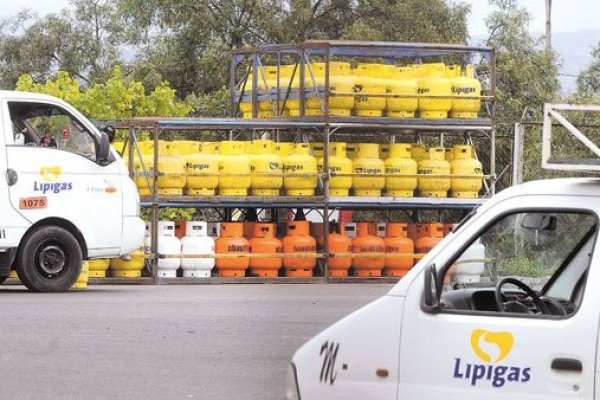 Guerra del gas: informe de ex ministra del TDLC saca ronchas