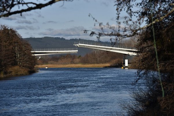 Gobierno anuncia que reparación del Puente Cau Cau costará $ 4.500 millones