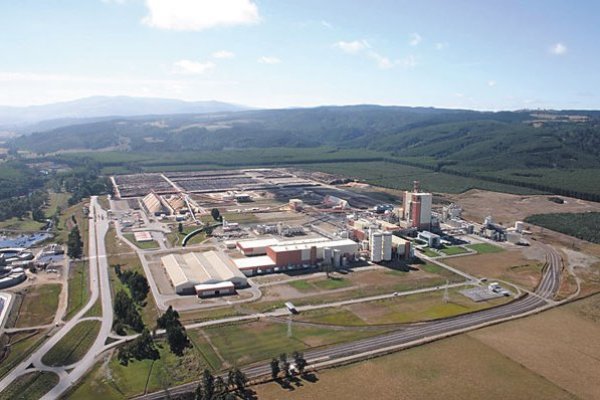 Arauco coloca bono de US$ 340 millones para financiar MAPA