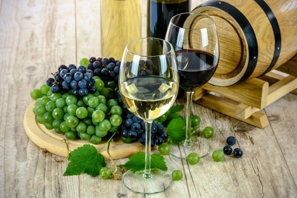 Producción de vino tendría un fuerte rebote este año luego estar en mínimos de dos décadas