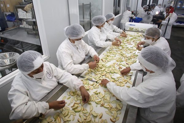 Empresas en Chile alcanzan peak histórico y las grandes explican la mayoría de las ventas