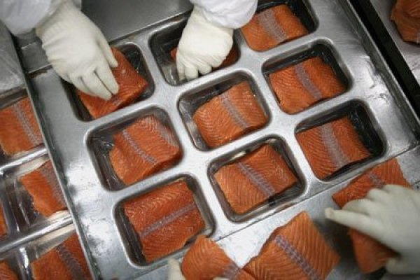 Marine Harvest vuelve a sus inicios y cambia de nombre a Mowi