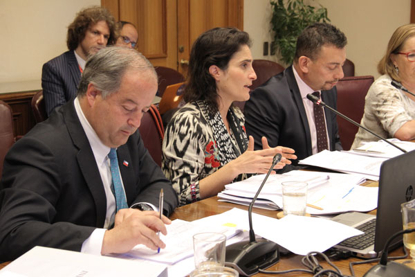 Comisión de Trabajo del Senado despacha proyecto de independientes
