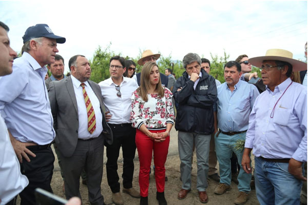 Sector frutícola confirma pérdidas en parte de cosecha 2019