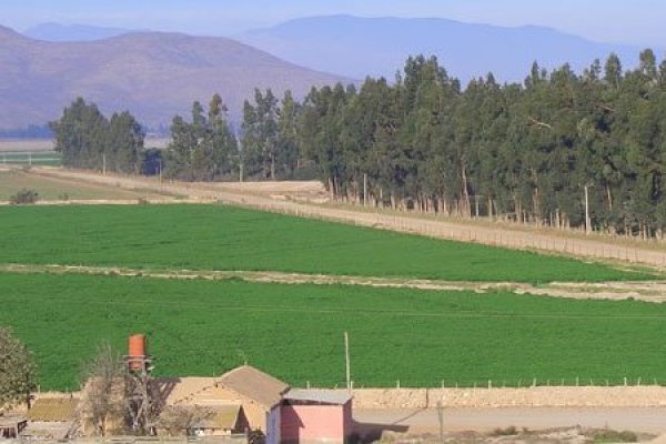 ¿Cuáles son las regiones que más aportaron al crecimiento de Chile en el tercer trimestre?