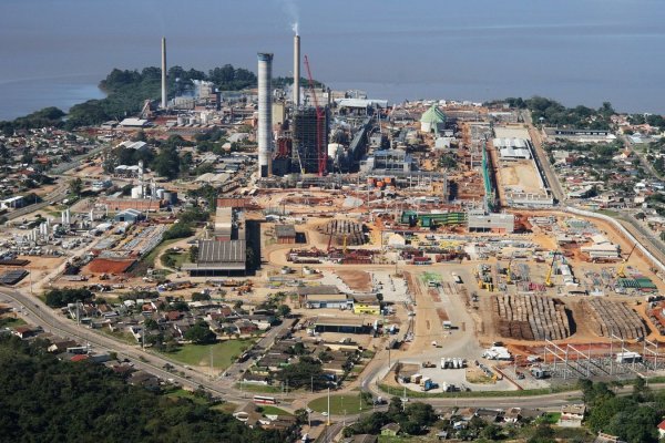 Hito de CMPC en Brasil: Planta de celulosa cumplió un año a máxima producción