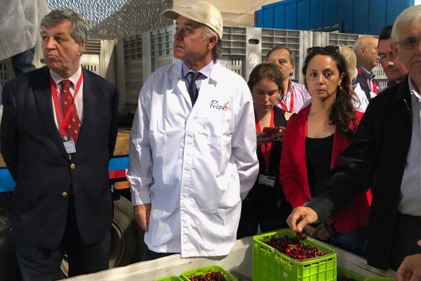 Walker llama a reforzar potencial exportador de La Araucanía