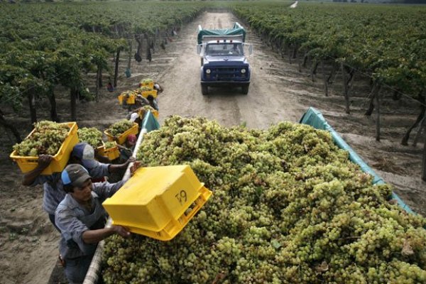Renta presunta: el cuestionado sistema que le cuesta cada año más de US$ 300 millones al Fisco