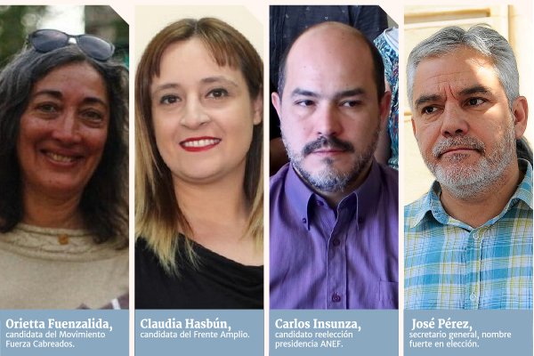 Elección de la ANEF en recta final: las definiciones de los cuatro candidatos