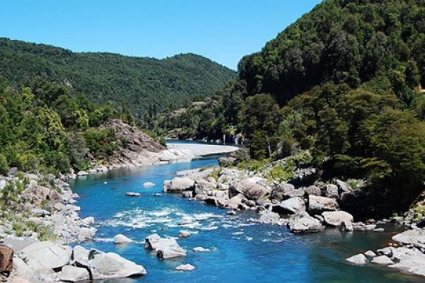 Nuevamente Astaldi: Tribunal Ambiental paraliza desalojos en terrenos de embalse Punilla