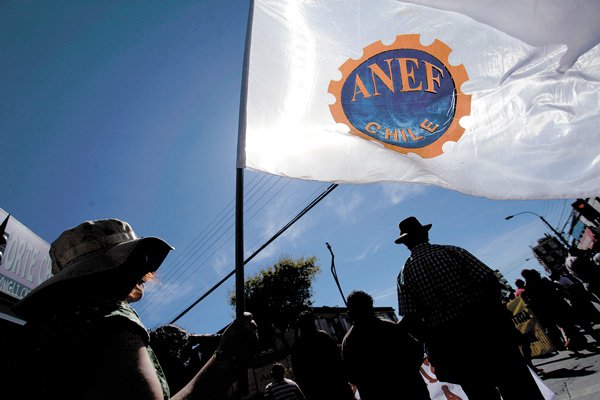 Tras una reñida elección José Pérez se transforma en el nuevo presidente de la ANEF