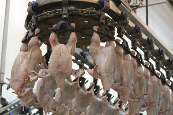 La segunda no fue la vencida: Sernac y productores de pollo no llegan a acuerdo compensatorio por caso de colusión