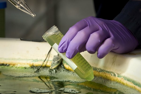 Nuevo centro de Sofofa reunirá oferta y demanda de soluciones biotecnológicas