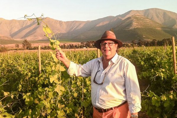 Abogado suizo que produce el segundo vino más caro de Chile se abre a sumar socio