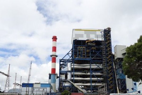 Tribunal Ambiental de Valdivia condena a Endesa por daño ambiental en Lota y Coronel
