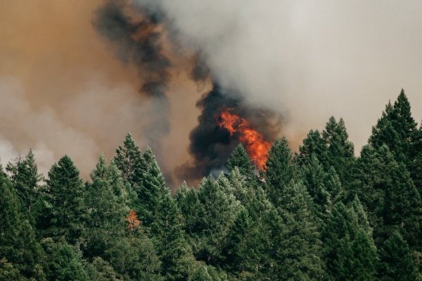 Intendenta Rubilar: incendios han aumentado 14% en RM pero han sido menos dañinos