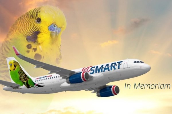 Aerolínea saca partido ante el popular "chimuelo" y lanza promoción con el viral