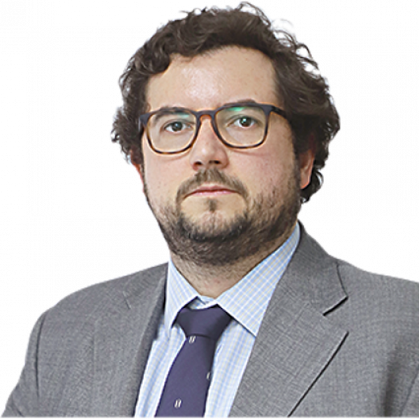 2019: Odisea legislativa