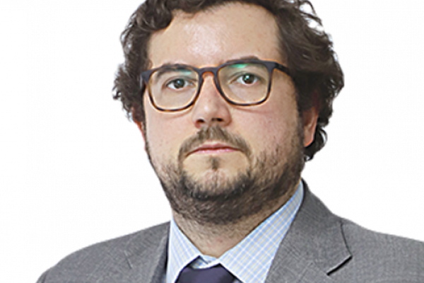 2019: Odisea legislativa
