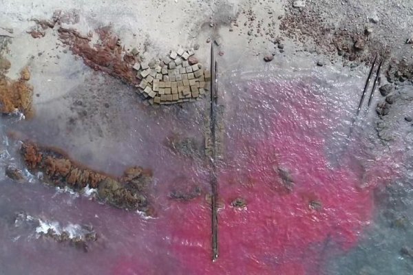 SMA formula cargos contra Golden Omega por disposición irregular de Riles en Arica