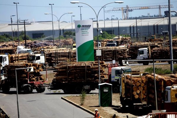 Después de un año, autoridad de libre competencia en México aprueba venta de activos de Masisa a Arauco