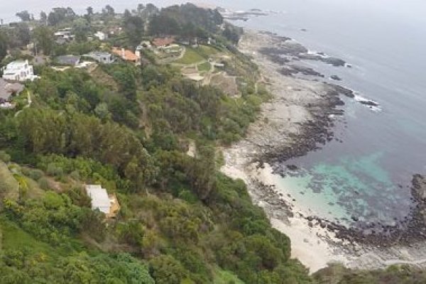Nuevo proyecto habitacional en Cachagua seduce a uno de los herederos del clan Matte