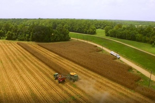 Nutrien comienza a gastar la plata que le generó SQM y adquiere empresa en US$ 340 millones