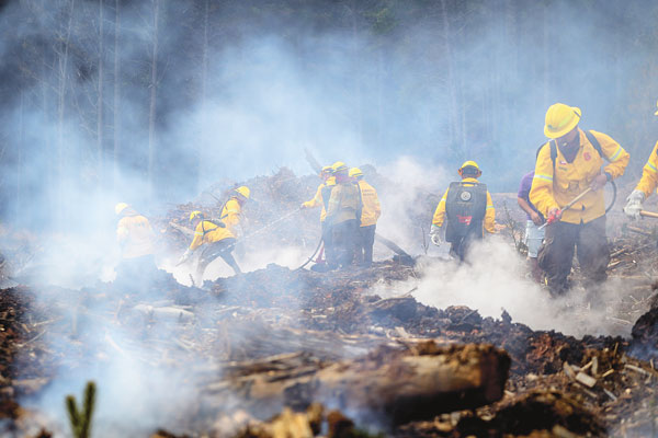Gobierno espera que nueva Conaf vea la luz antes de próxima temporada de incendios