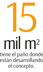 Imagen foto_00000007