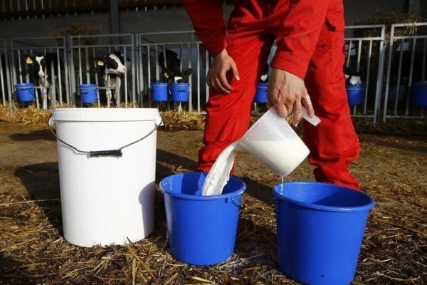 Guerra láctea desatada: Soprole se enfrenta con su archirrival Colun por la "buena leche"