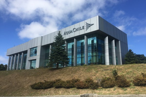 <p>AquaChile define nuevo equipo que liderará "segunda productora de salmones del mundo"</p>
