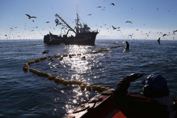 Comisión de Pesca de la Cámara aprueba nulidad de la "Ley Longueira"